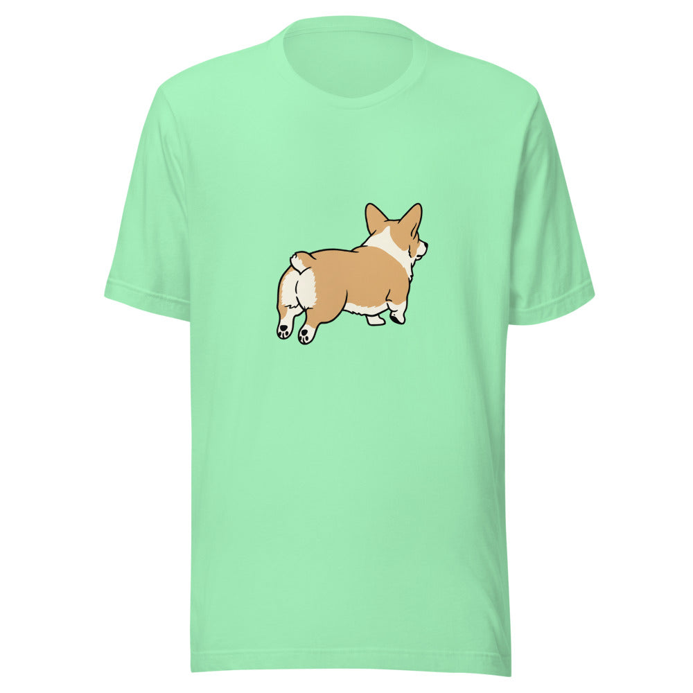 pembroke corgi - 22041