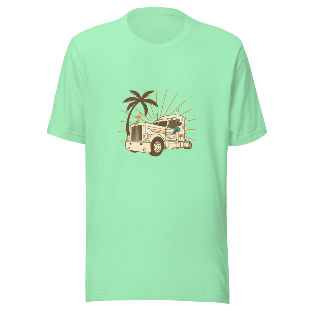 florida truck driver - 22041