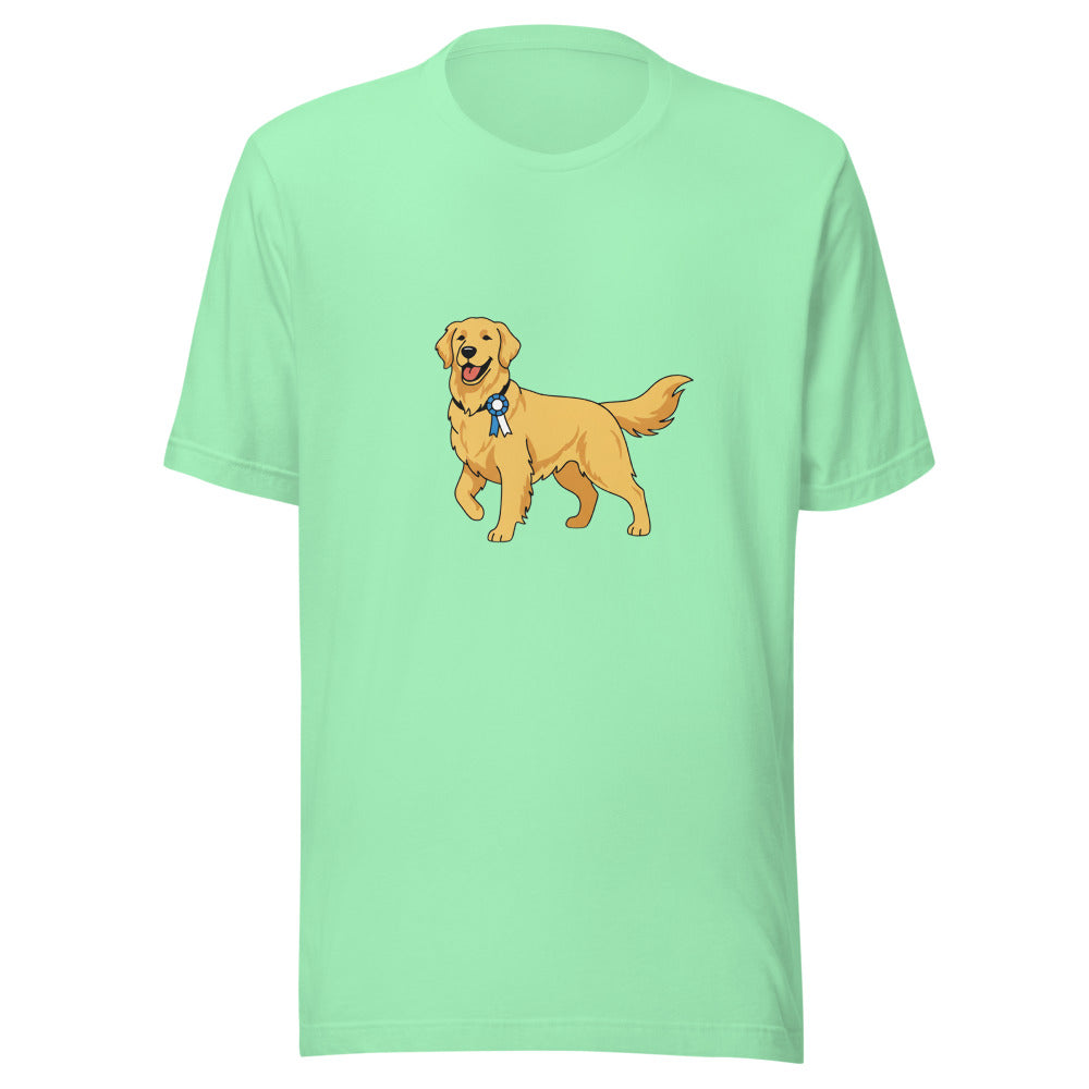 show golden retriever - 22041