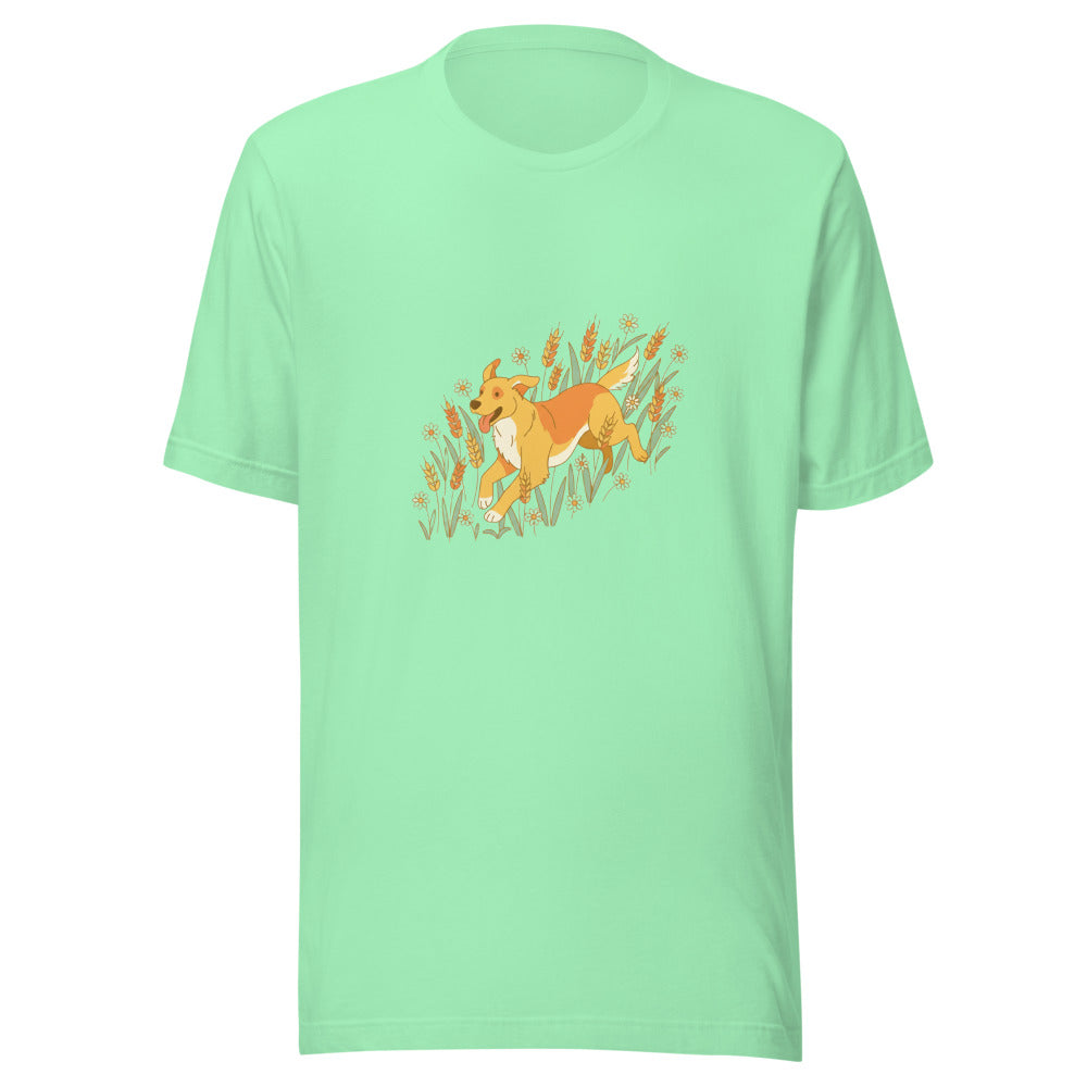 field golden retriever - 22041