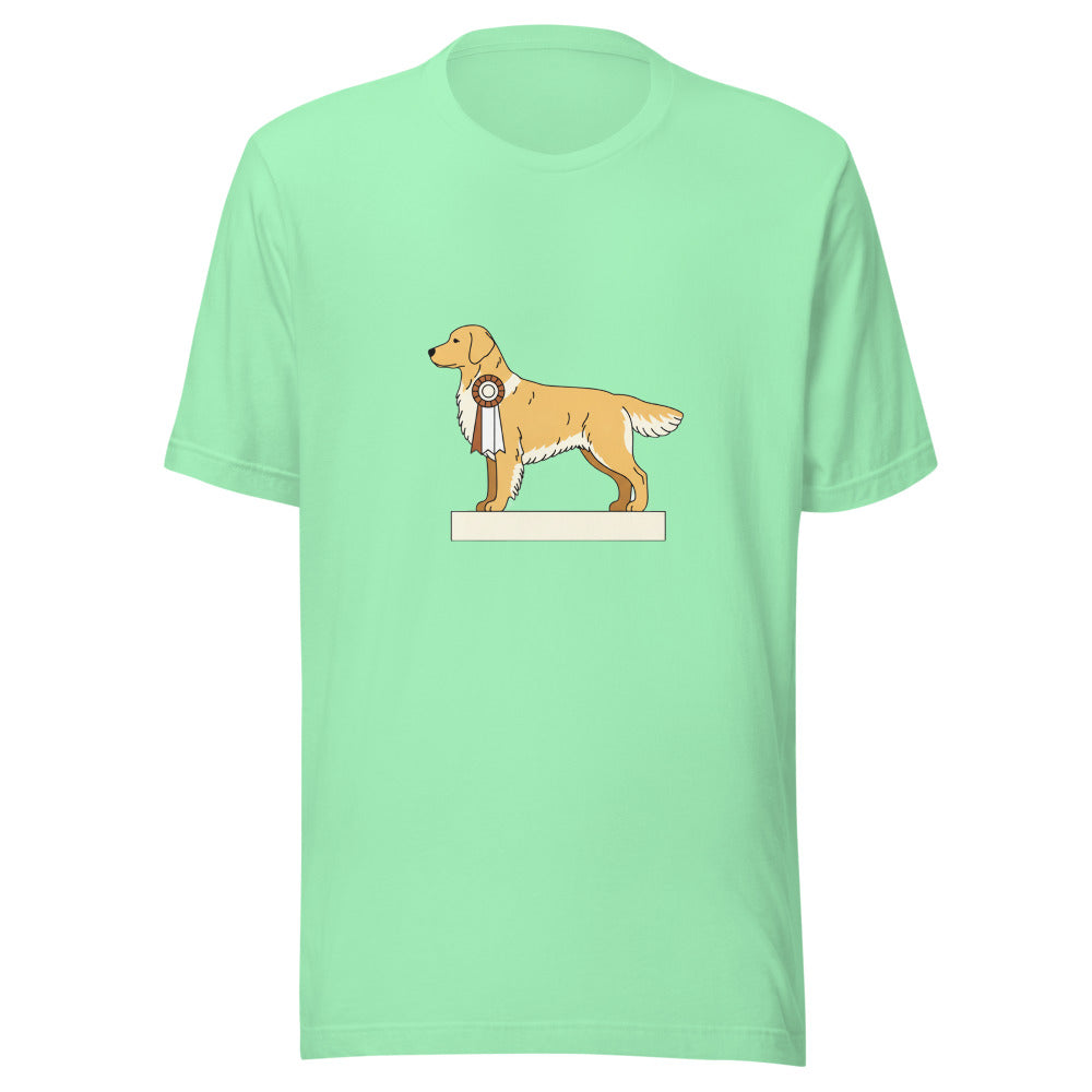 show golden retriever - 22041