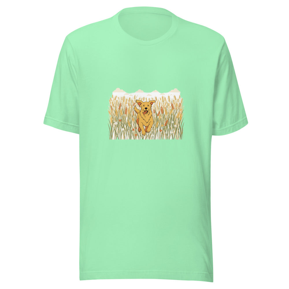field golden retriever - 22041