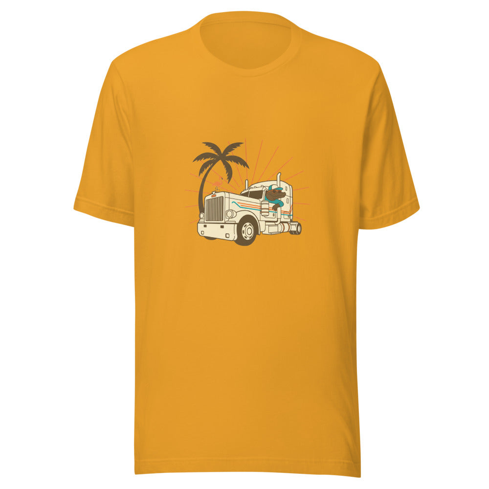 florida truck driver - 10376