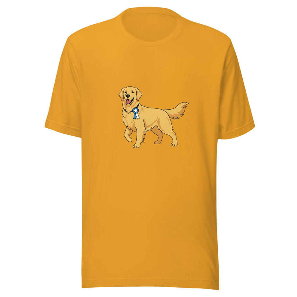 show golden retriever - 10376