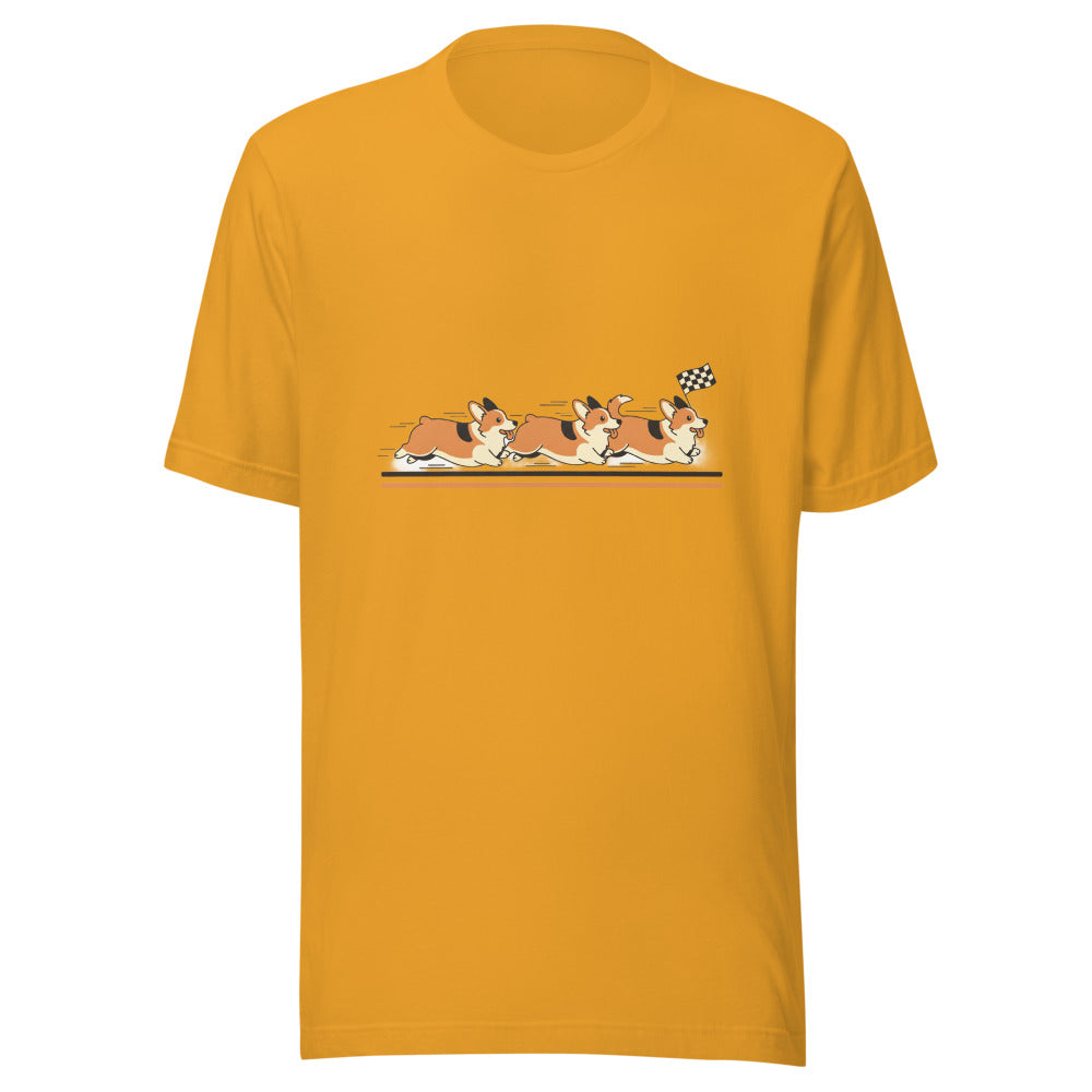 corgi race - 10376