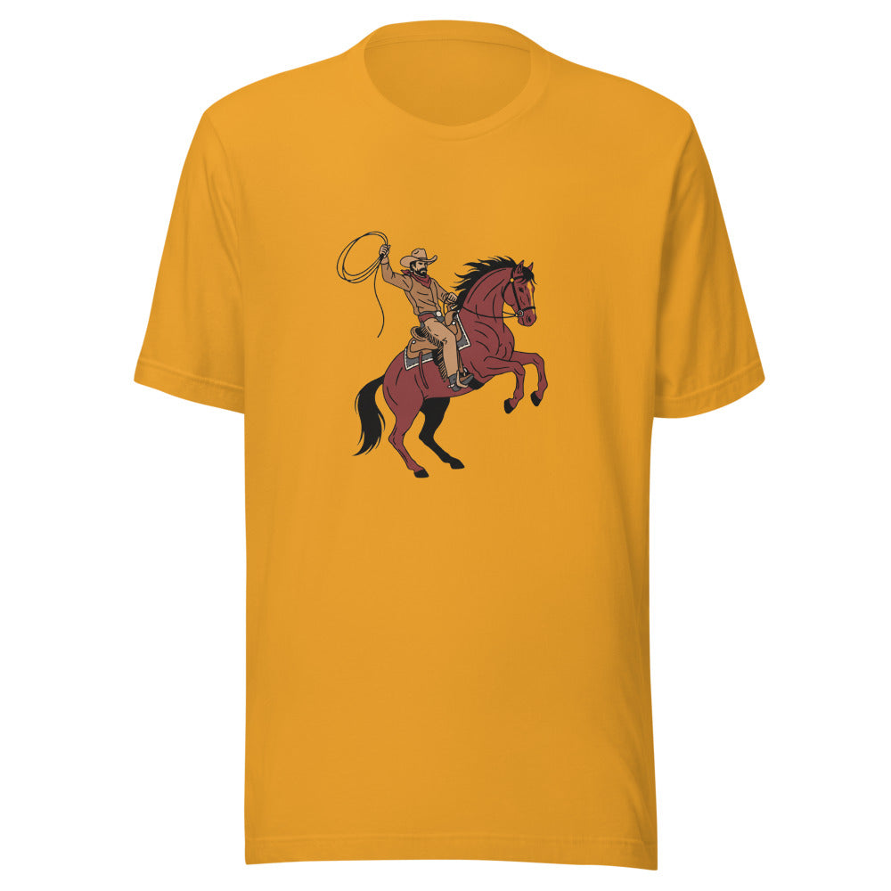 western horse riding - 10376