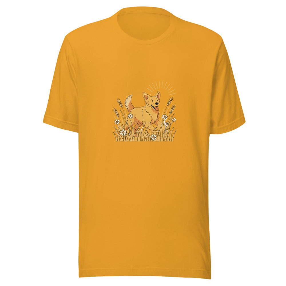 field golden retriever - 10376