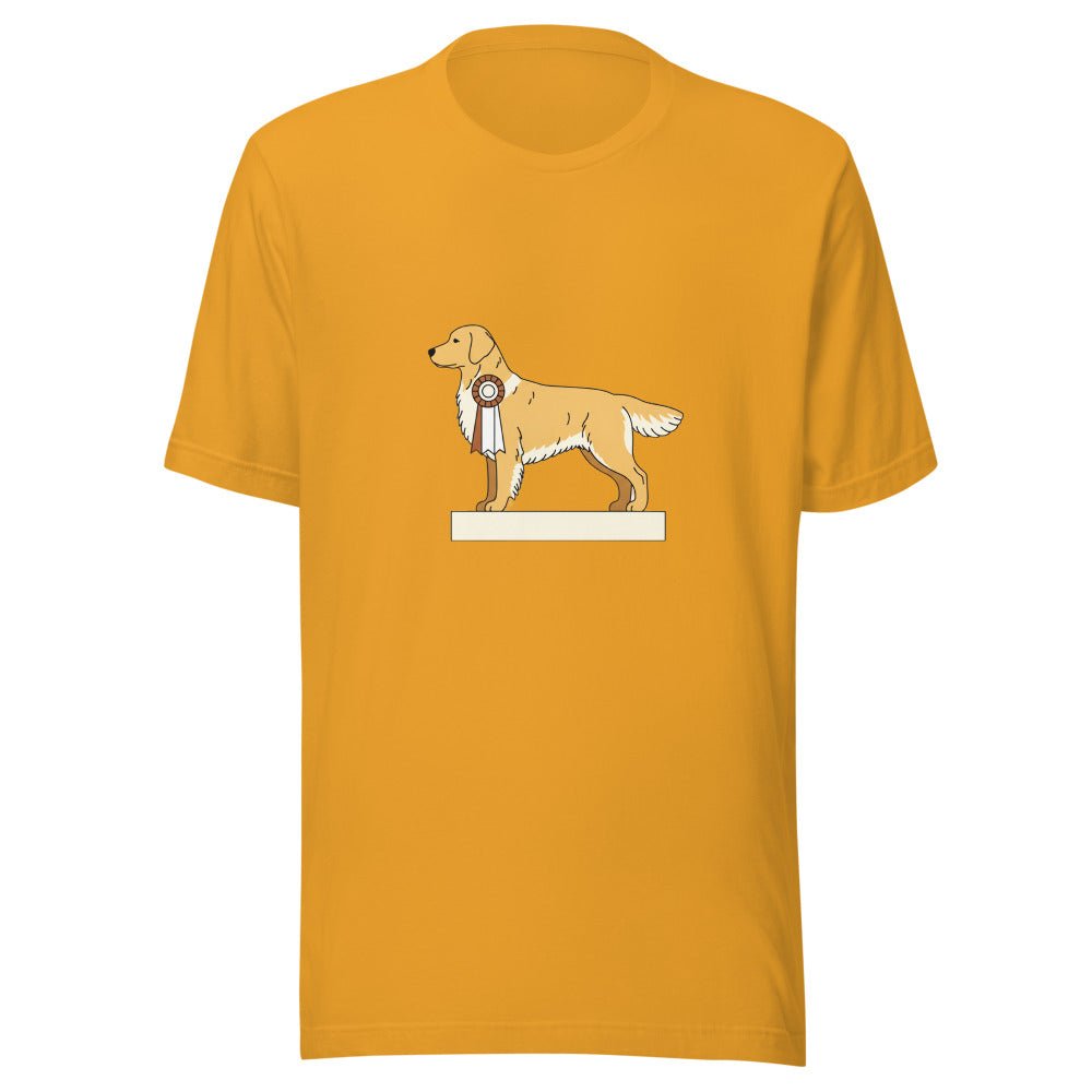 show golden retriever - 10376