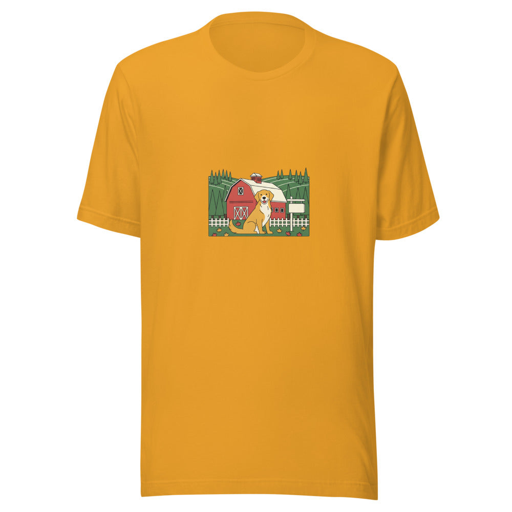 vermont golden retriever farm - 10376