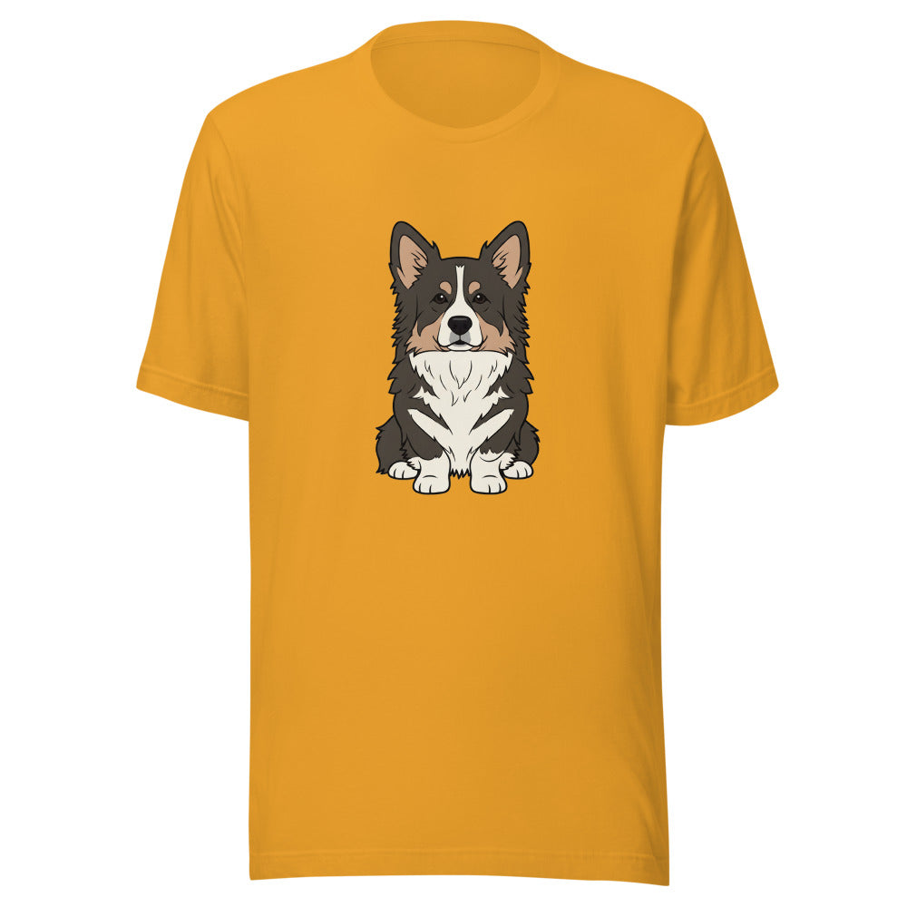 newfoundland corgi mix - 10376