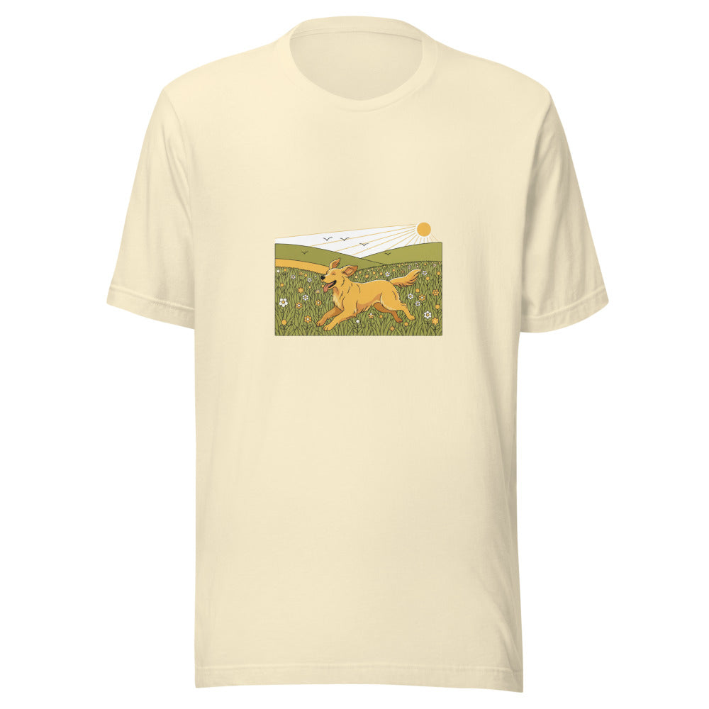 field golden retriever - 14682