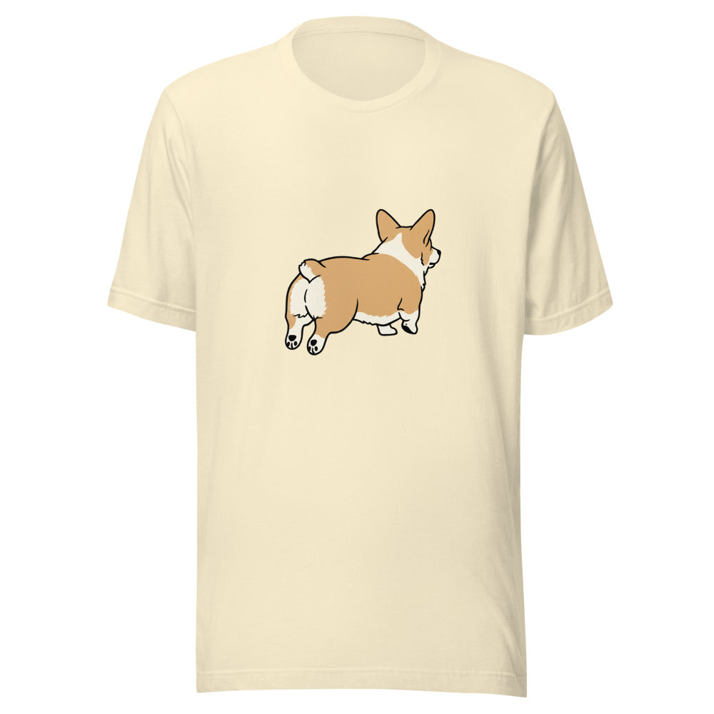 pembroke corgi - 14682