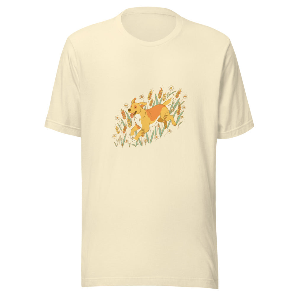 field golden retriever - 14682