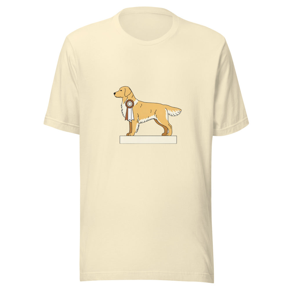 show golden retriever - 14682
