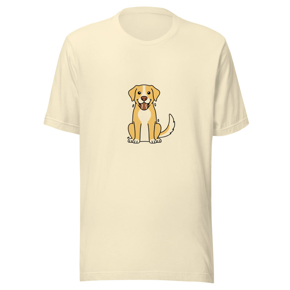 labrador retriever - 14682