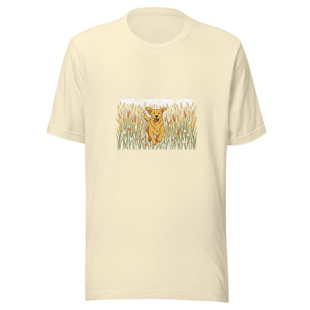 field golden retriever - 14682