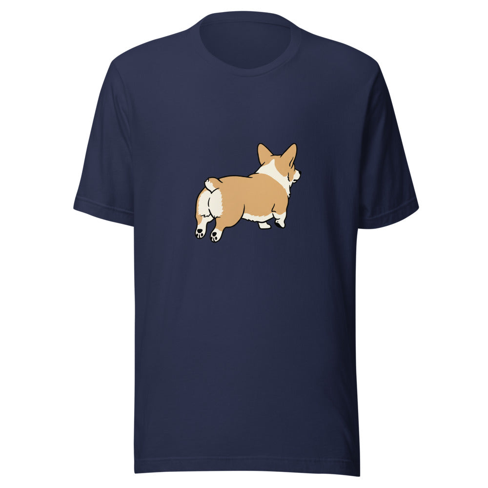 pembroke corgi - 4111