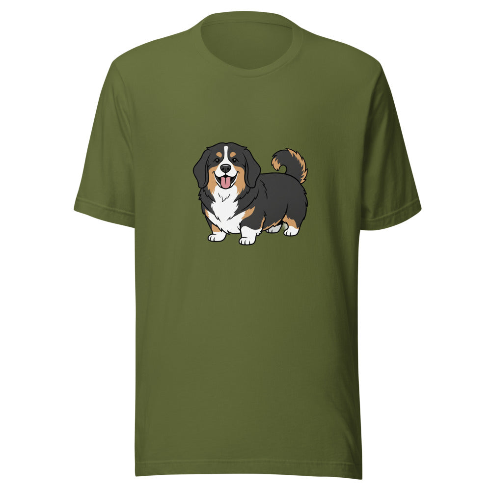 newfoundland corgi mix - 4121