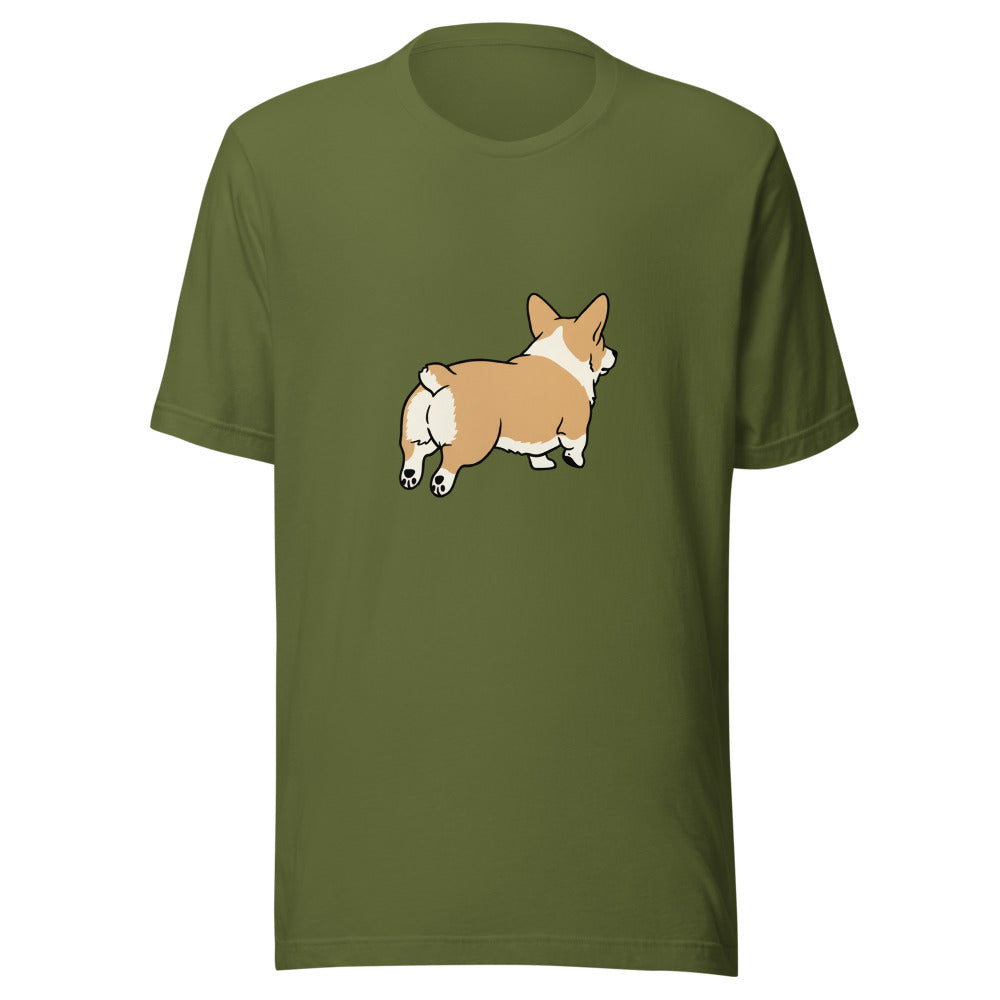 pembroke corgi - 4121