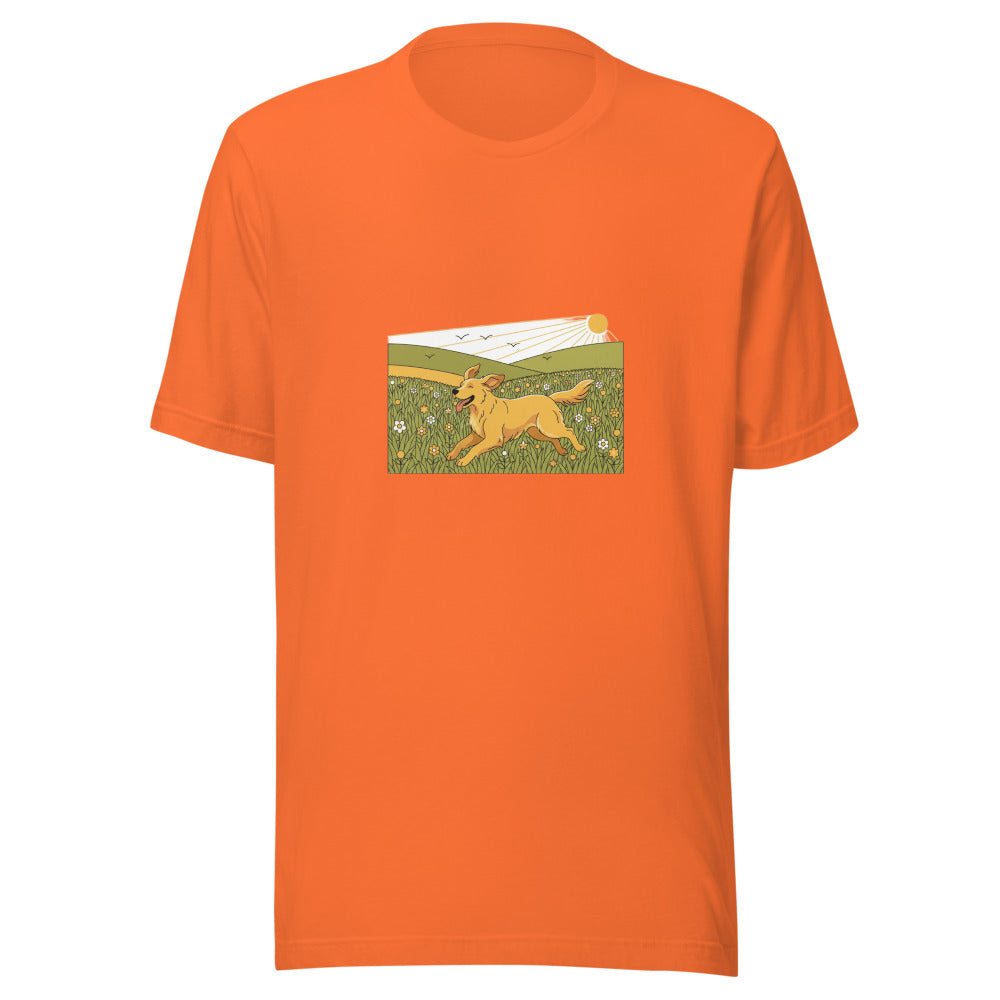 field golden retriever - 4126