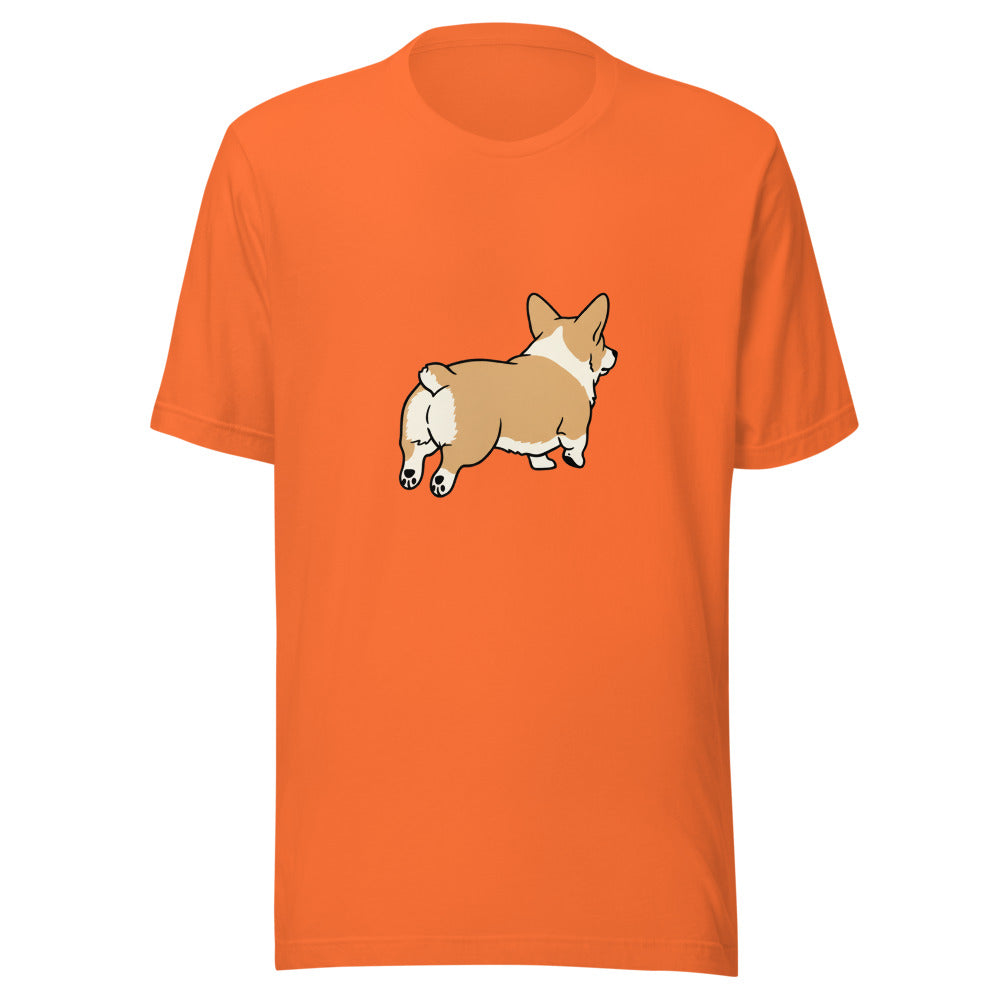 pembroke corgi - 4126