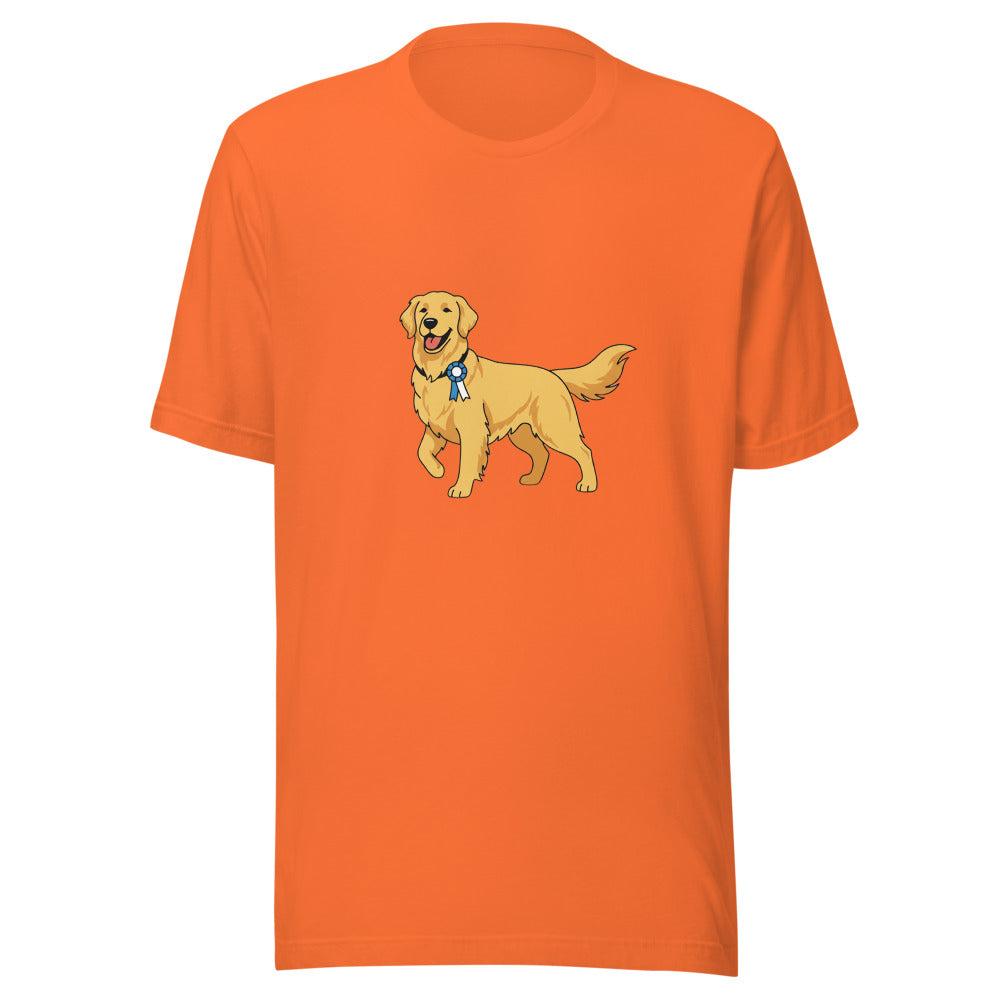 show golden retriever - 4126