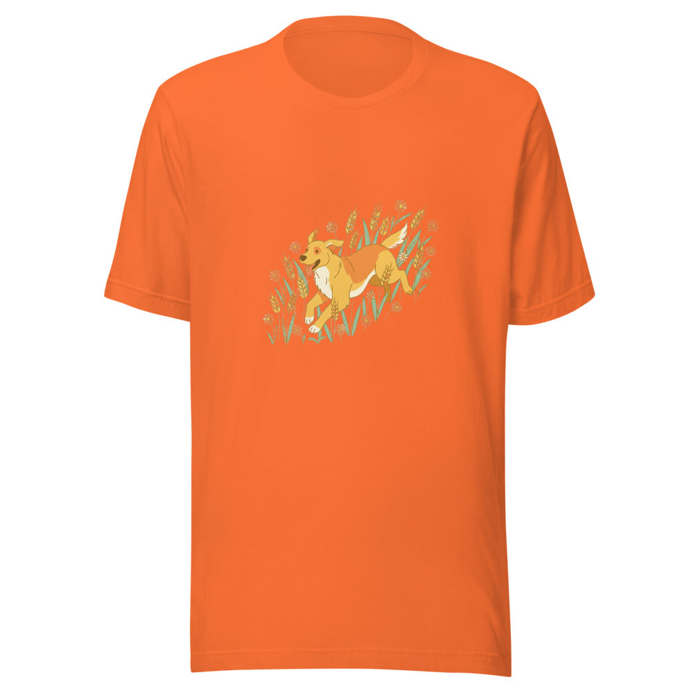 field golden retriever - 4126