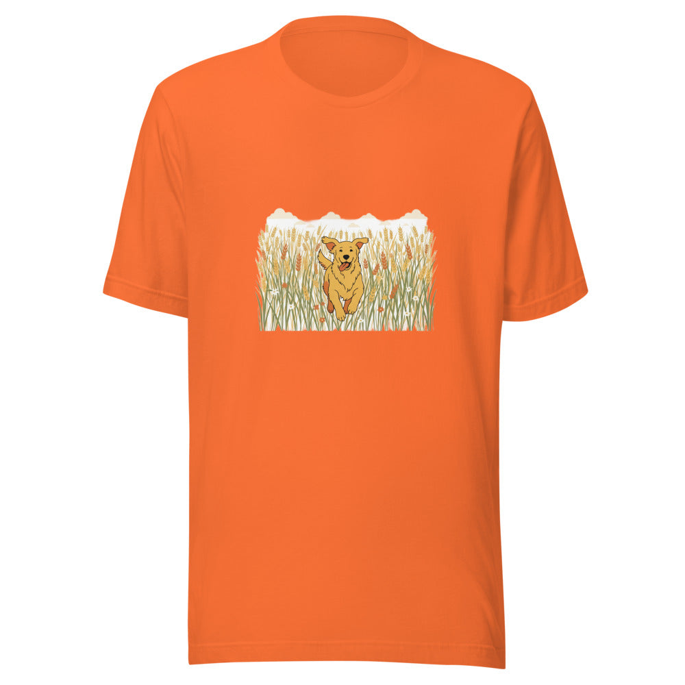 field golden retriever - 4126