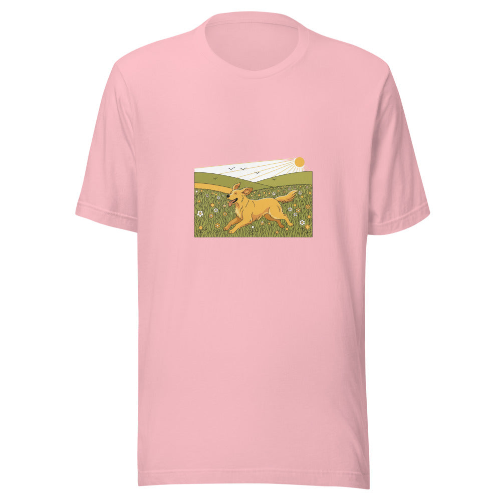 field golden retriever - 4136