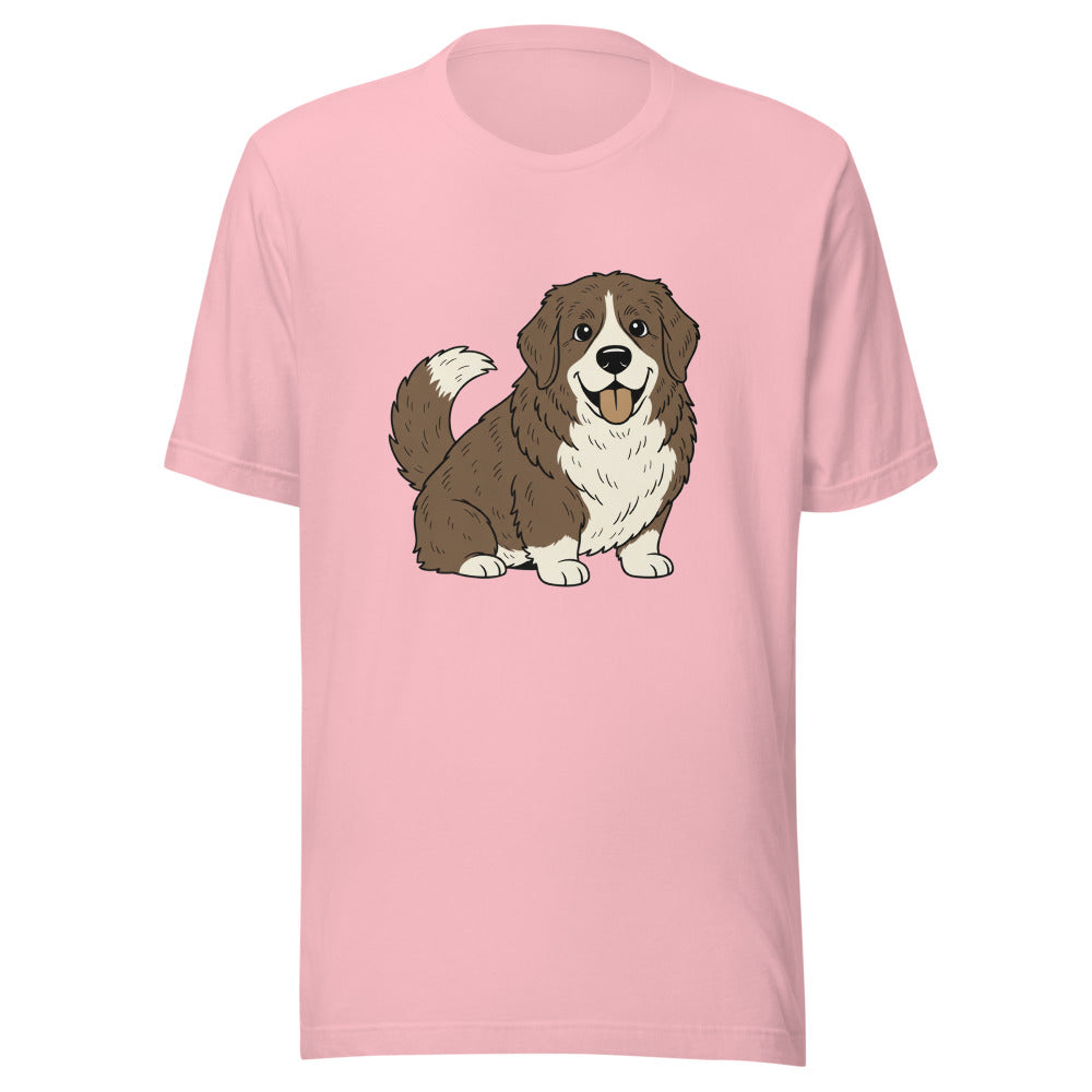 corgi mixed with newfoundland - 4136