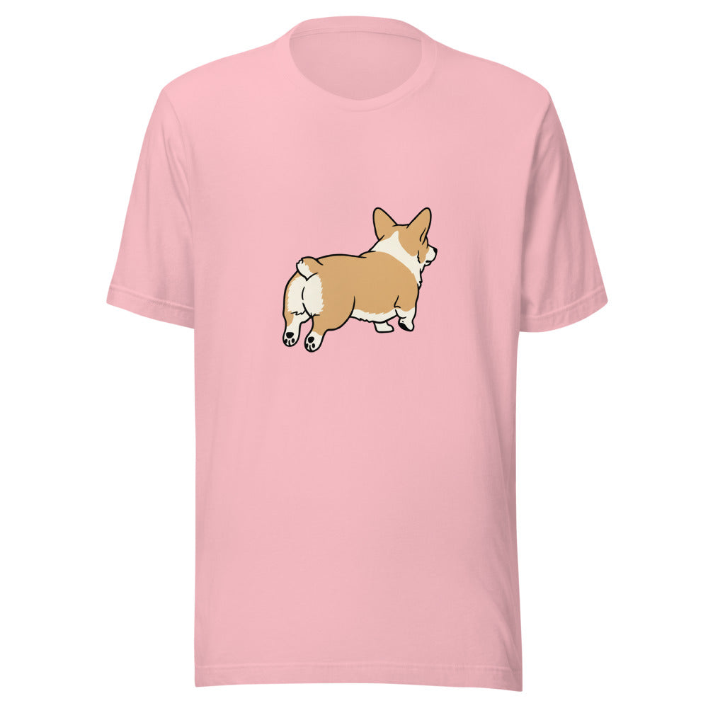 pembroke corgi - 4136