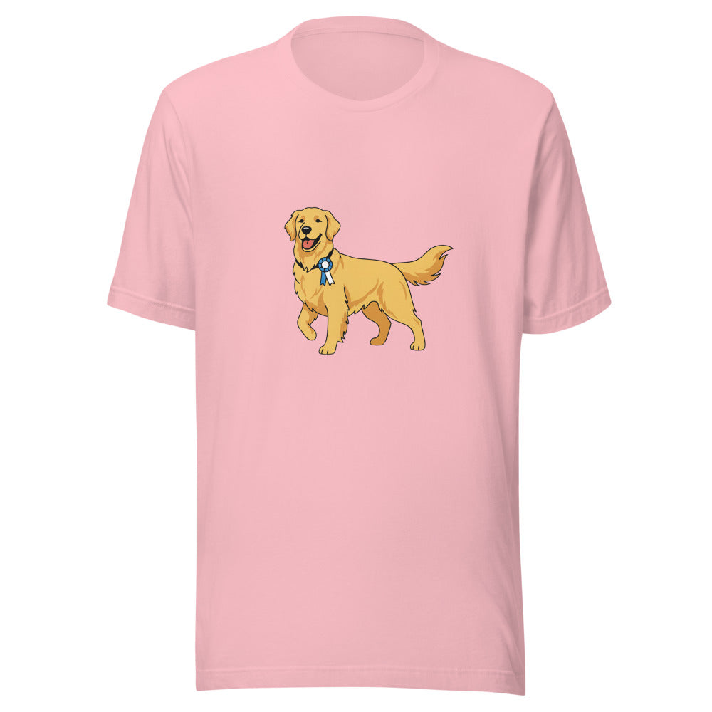show golden retriever - 4136