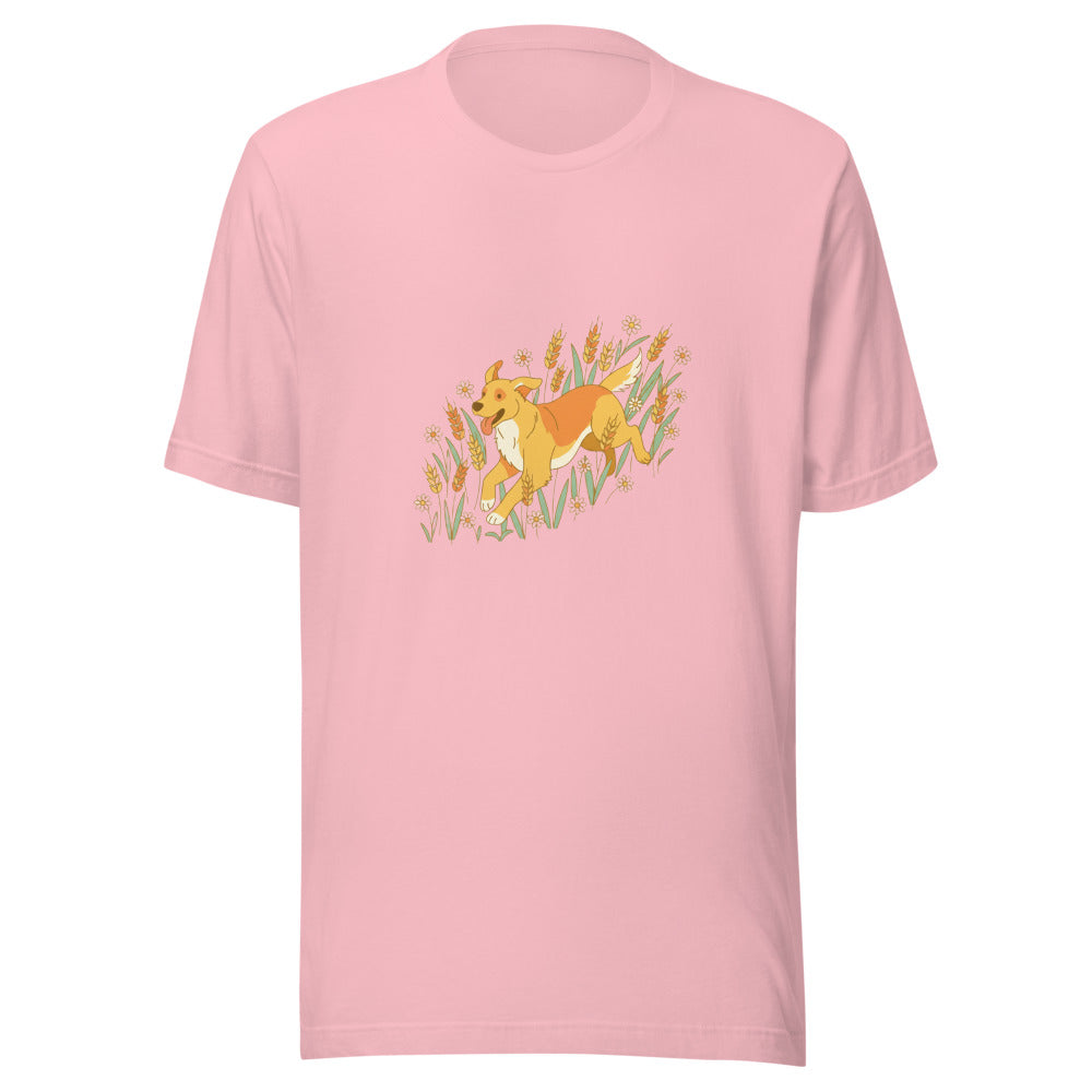 field golden retriever - 4136