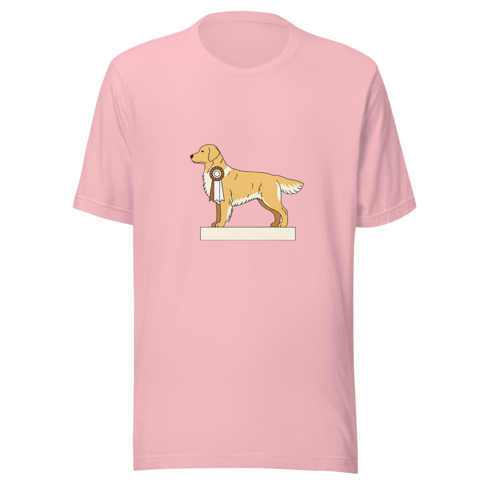 show golden retriever - 4136