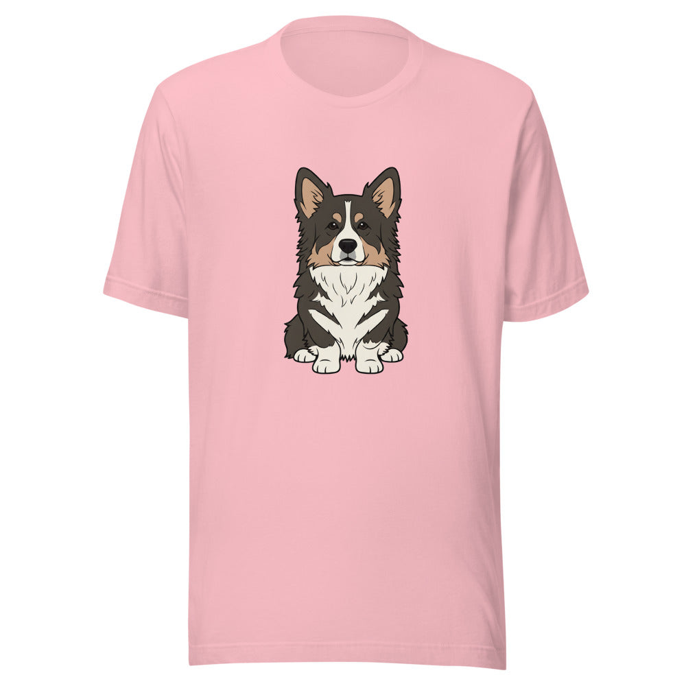 newfoundland corgi mix - 4136