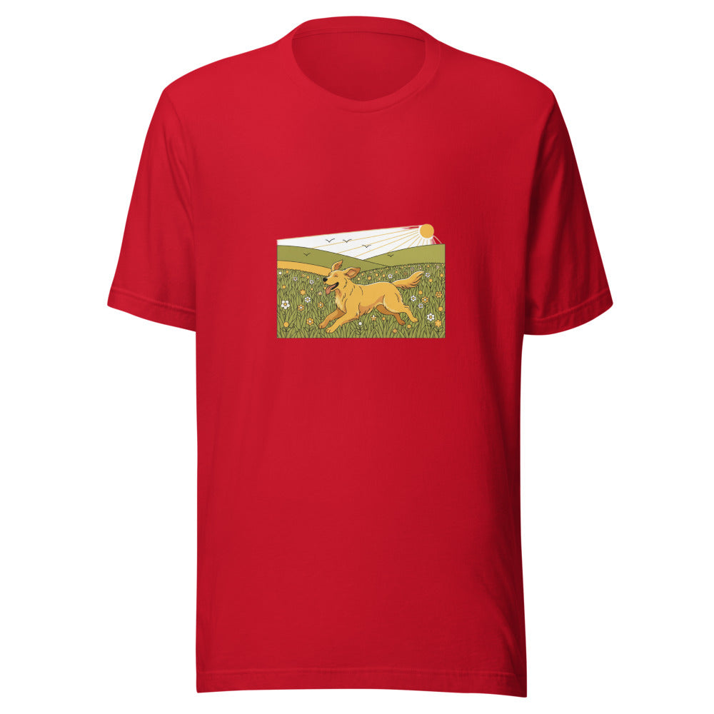field golden retriever - 4141