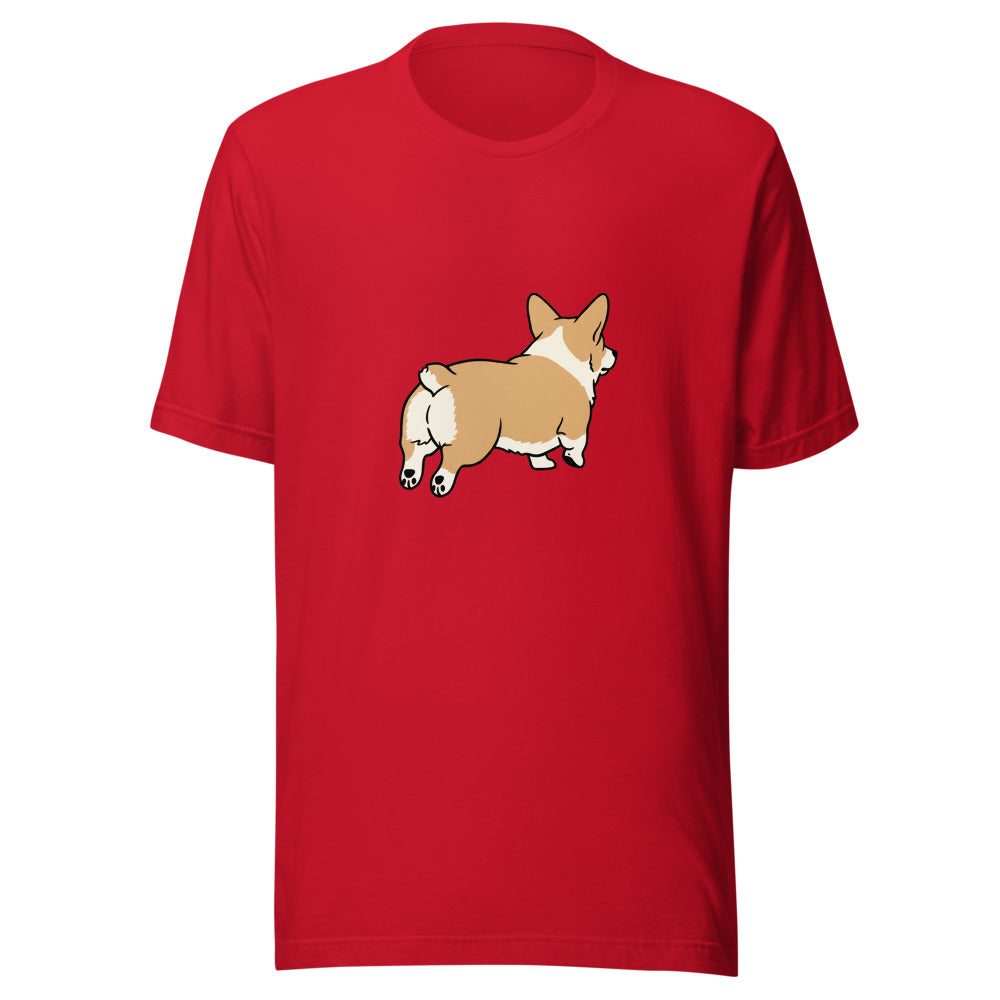 pembroke corgi - 4141