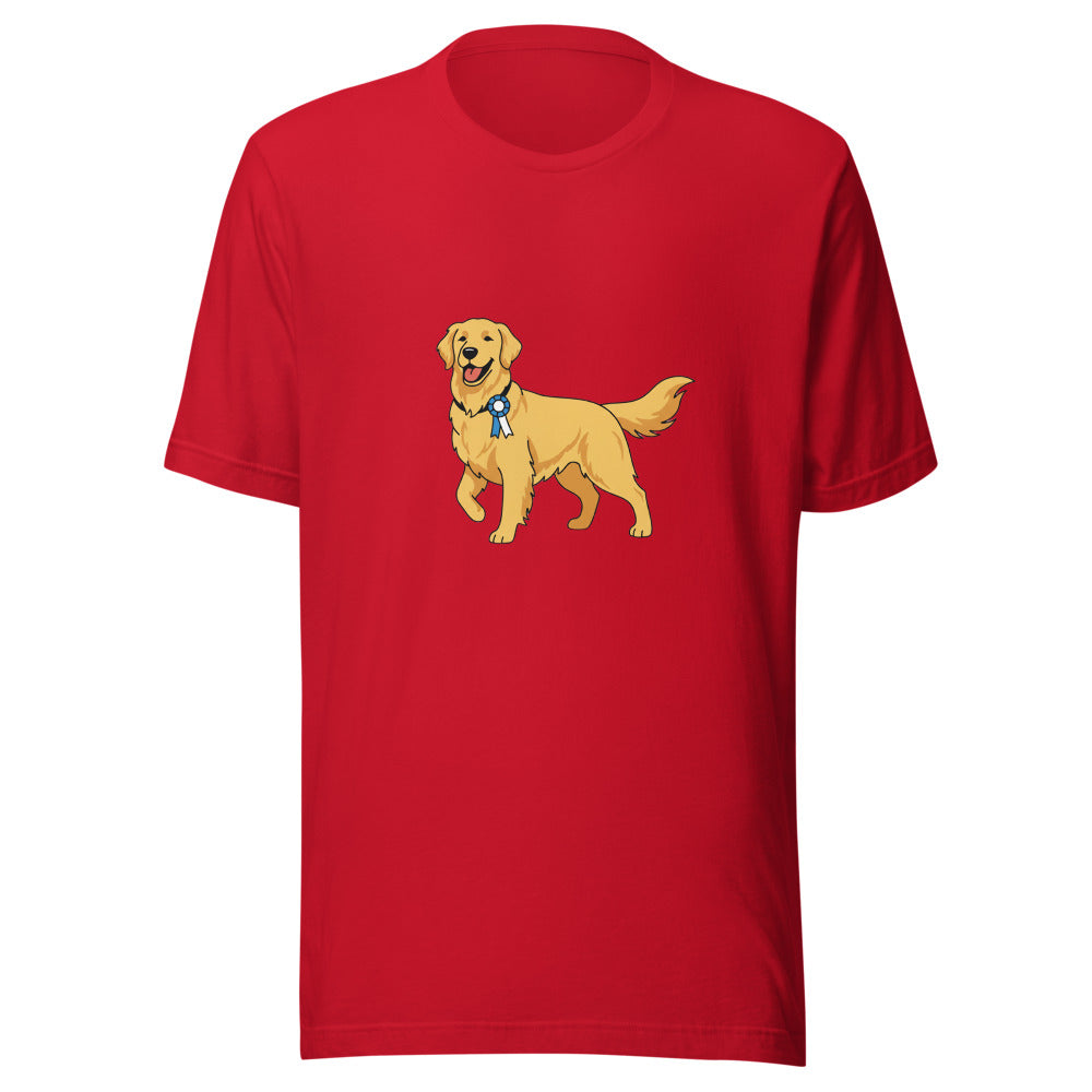 show golden retriever - 4141