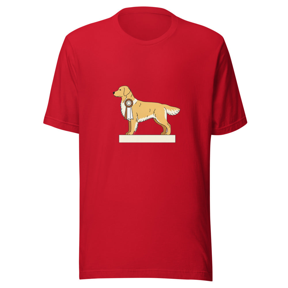 show golden retriever - 4141