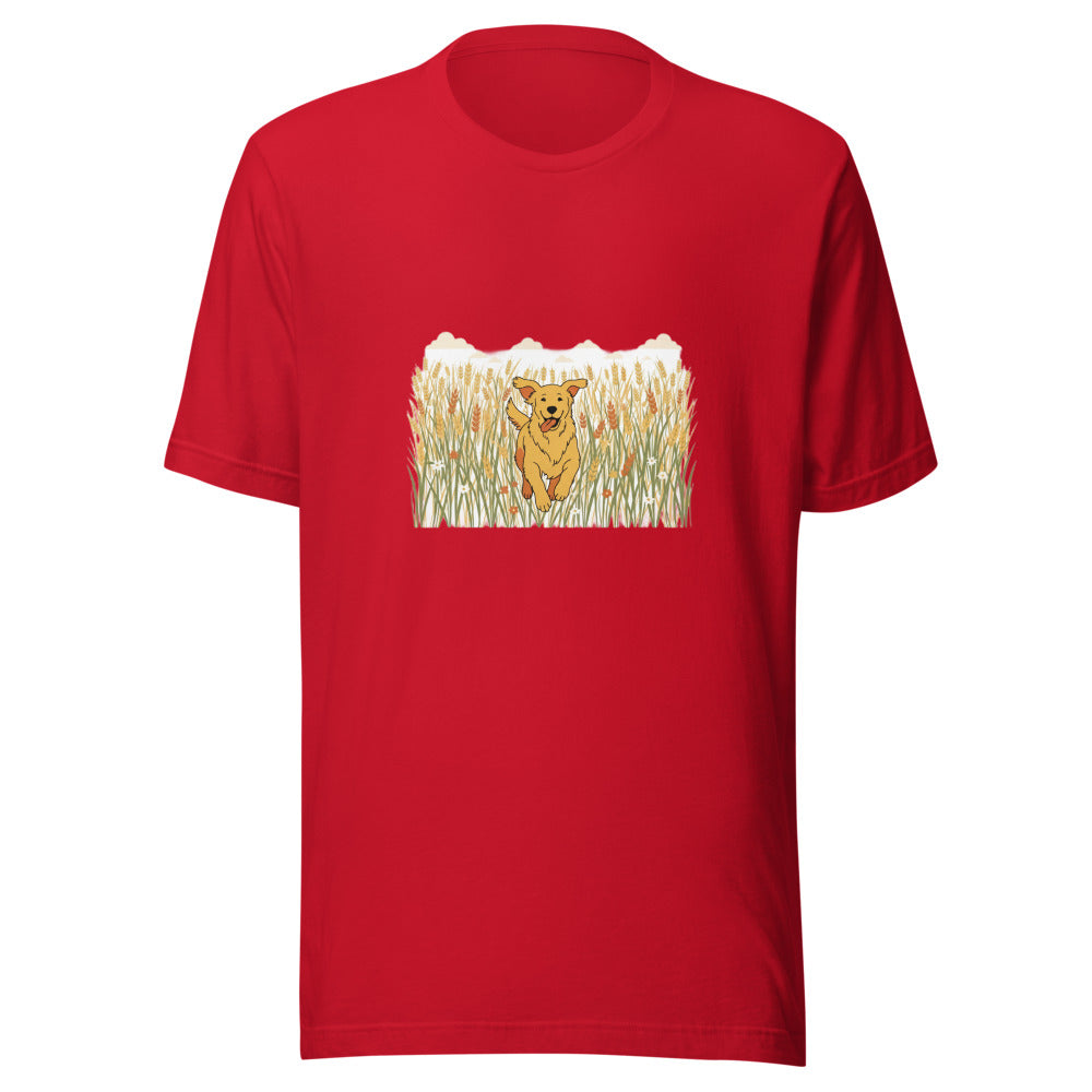 field golden retriever - 4141