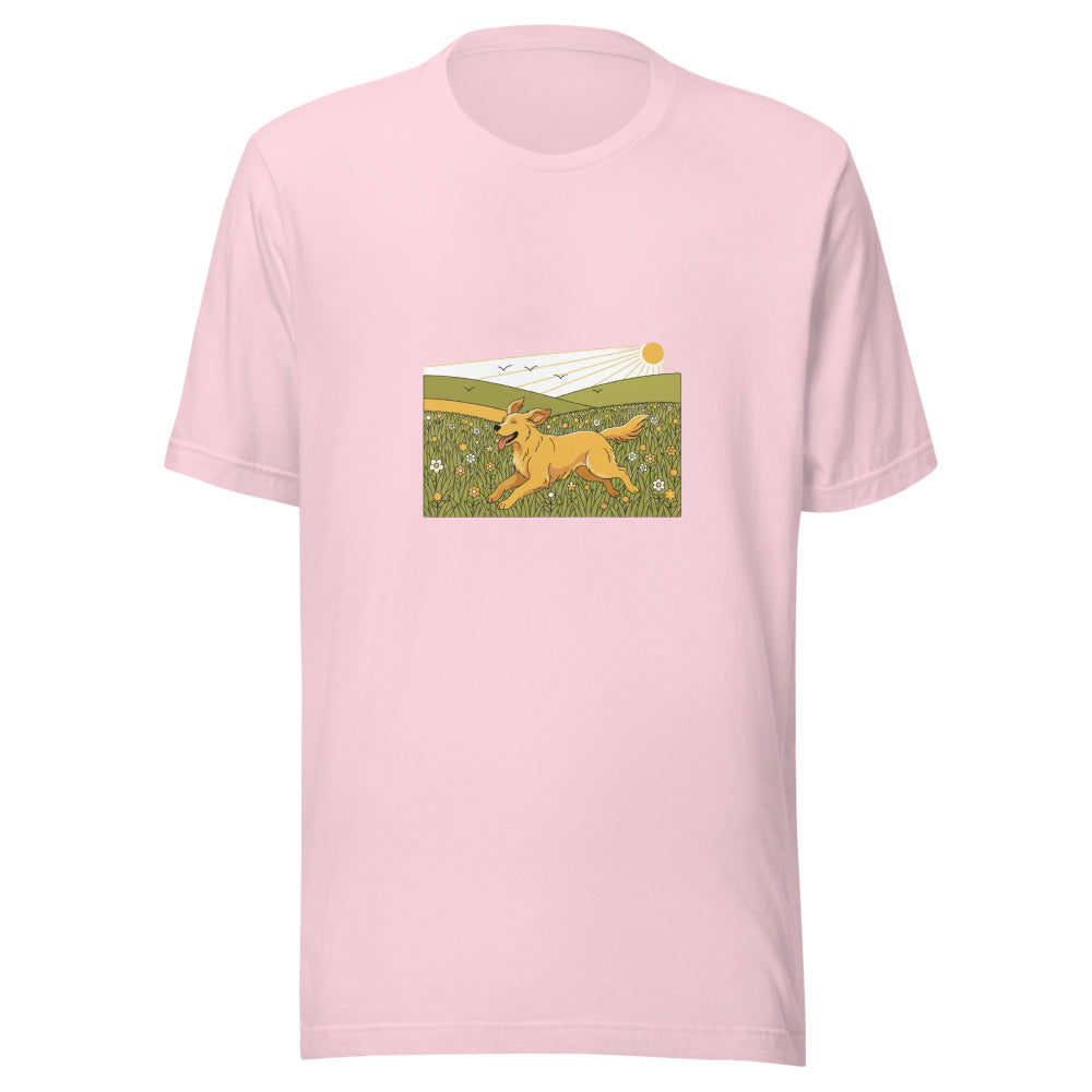 field golden retriever - 20674