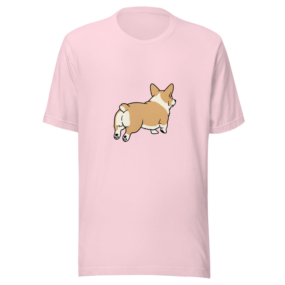 pembroke corgi - 20674