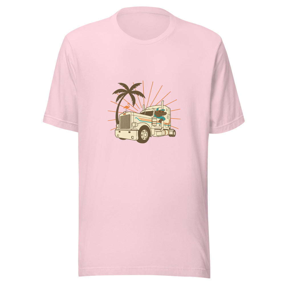 florida truck driver - 20674