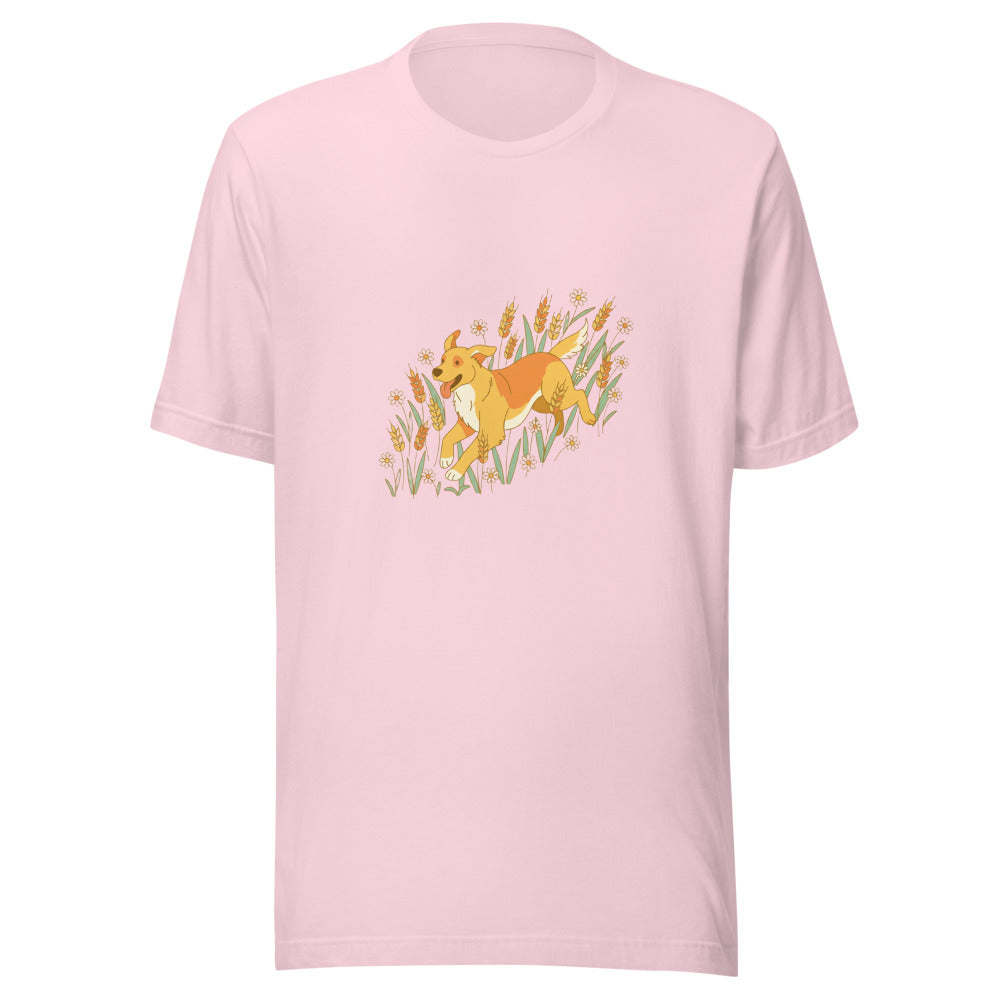 field golden retriever - 20674