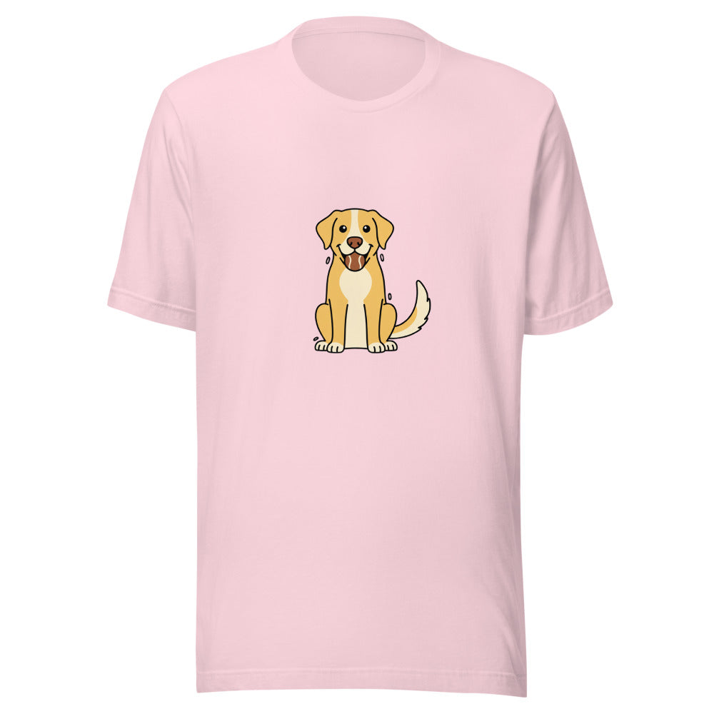 labrador retriever - 20674
