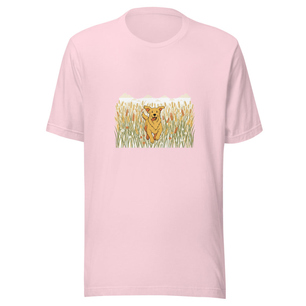field golden retriever - 20674