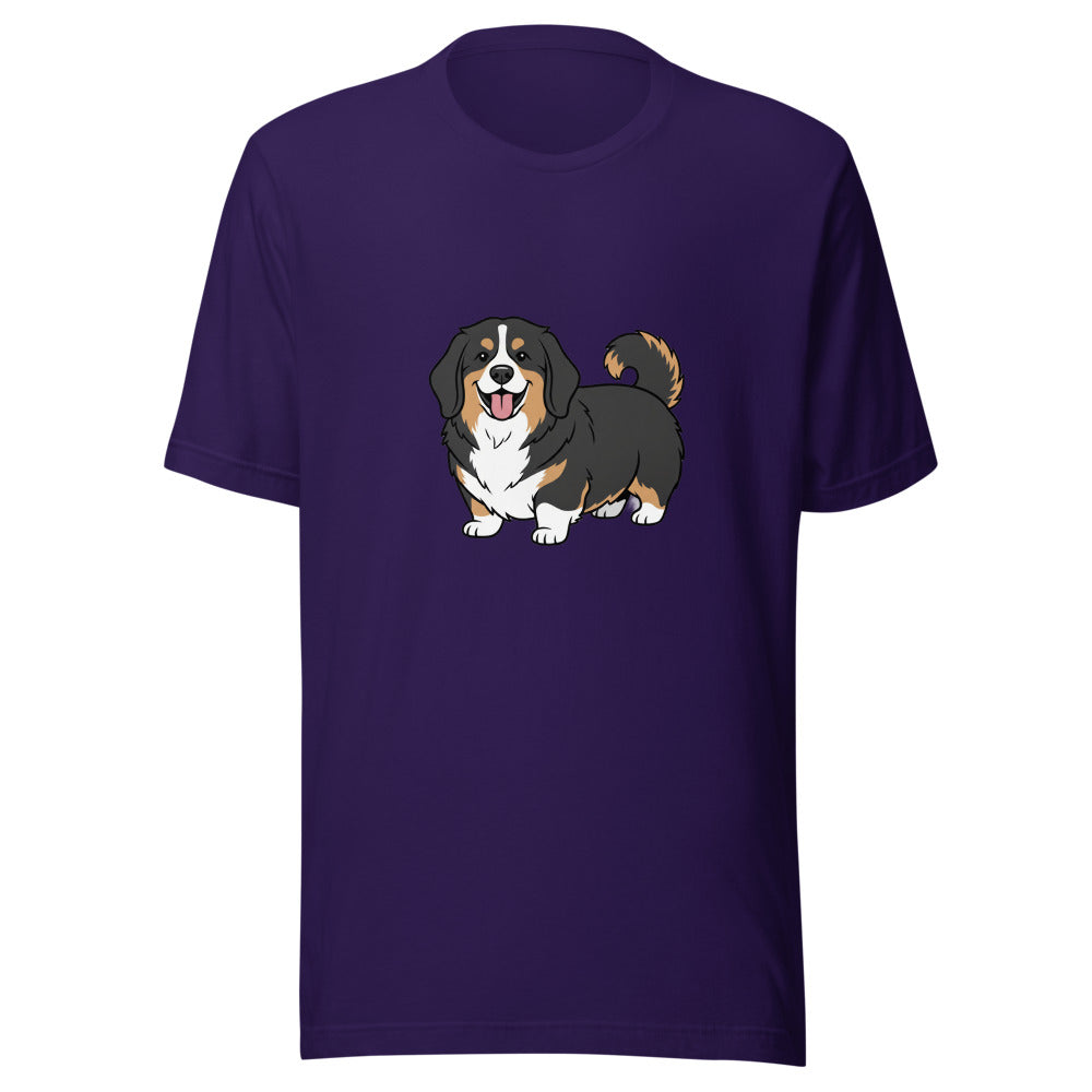 newfoundland corgi mix - 4166