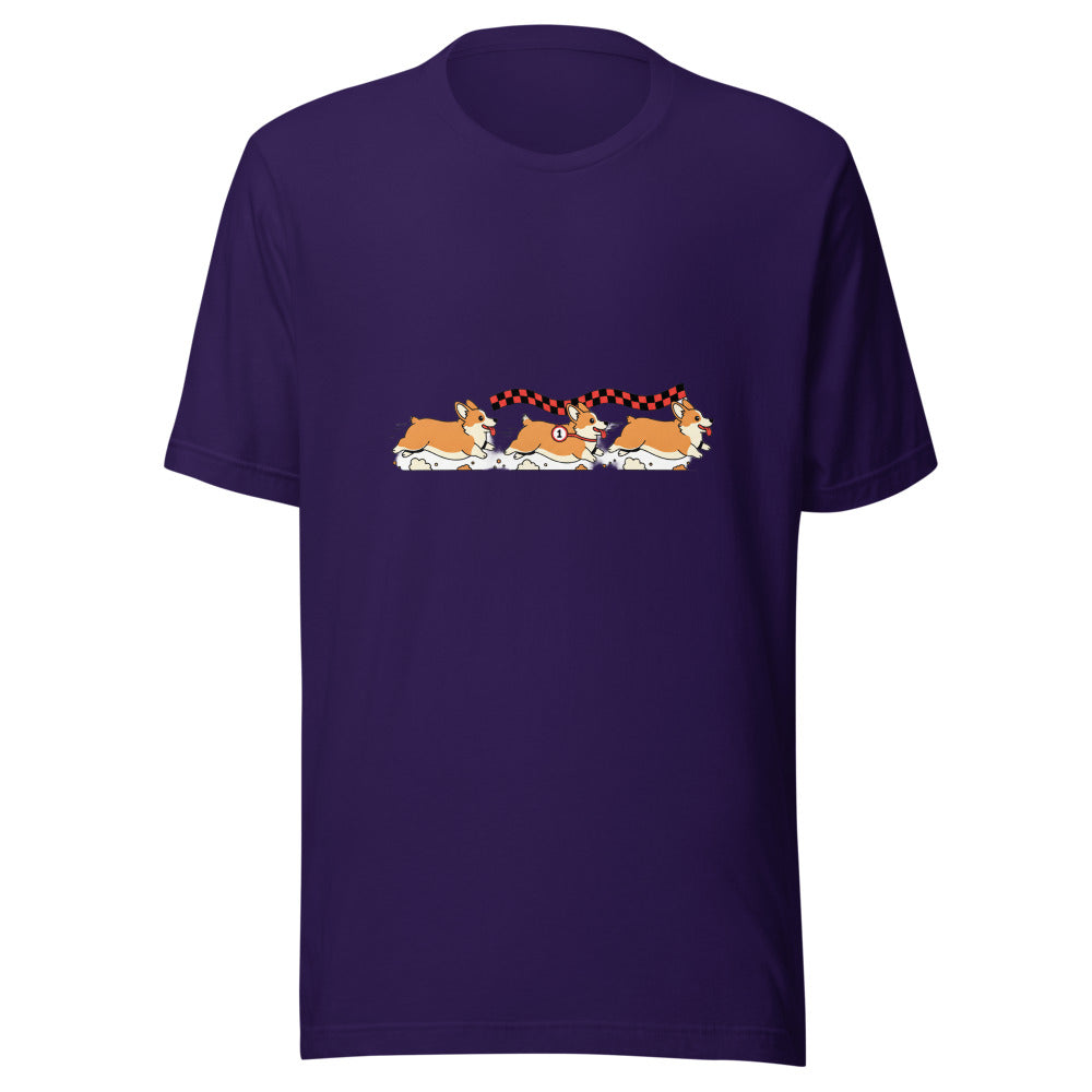 corgi race - 4166