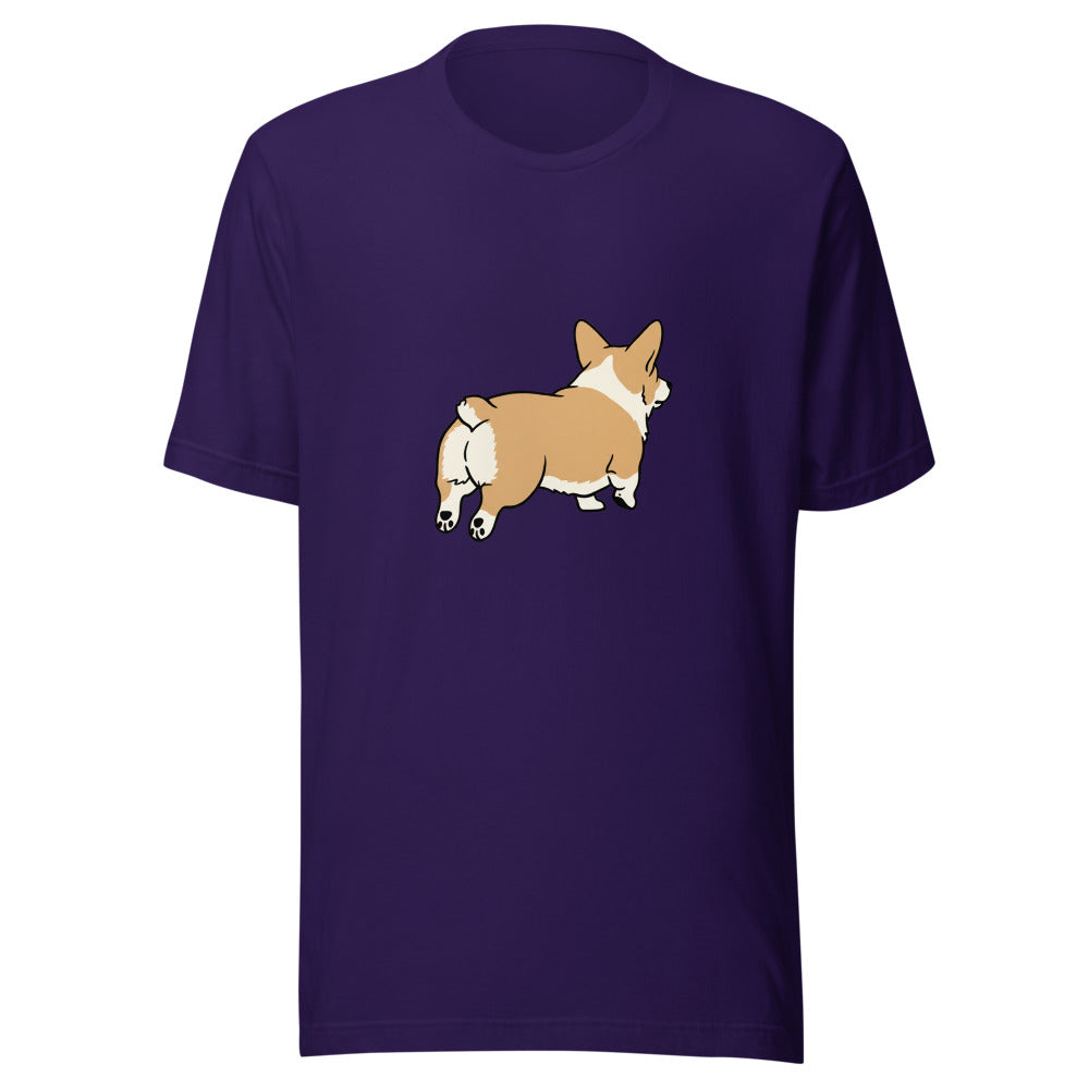 pembroke corgi - 4166