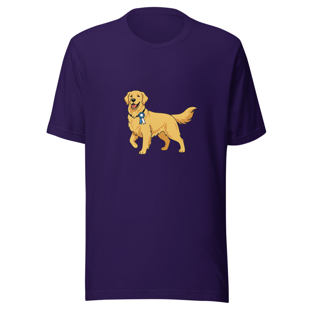 show golden retriever - 4166
